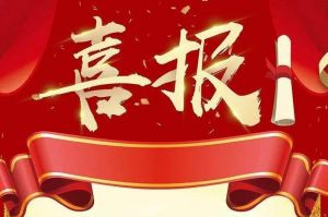 关于2022年度人力资源服务评选结果的通报，祝贺爱游戏网官网入口-爱游戏（中国）集团