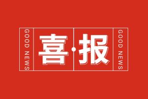 喜报！爱游戏网官网入口-爱游戏（中国）集团党支部书记、总裁陈文舒荣登“2024人力资源服务机构100人”榜单